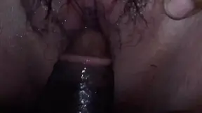 A Neighbor′s Squirrel Is Trying To Steal A Neighbor′s Porn – american hot mom – PornMood