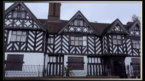 Bree Branning The Tudor Lounge – a MILF′s Playground – american hot mom – PornMood