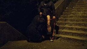 milf in law sucking boy cock in public on dog leash – american hot mom – PornMood