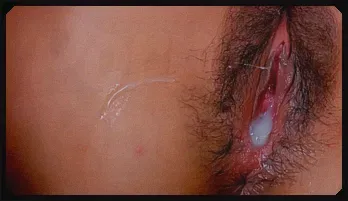 Yuzu Shiina pussy pounded and pussy creamed – american hot mom – PornMood