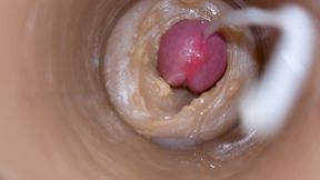 Precum squirting in my pussy Camera In Vagina – Pornmood