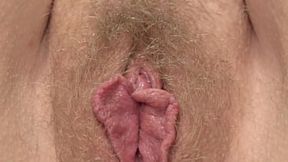 Horny – Chubby milf masturbates  Close-up of hairy cunt, clitoris and horny hole squelching  Amateur from mature housewife in stockings – amateur porn hd – PornMood