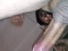 CIMA black and ebony – black 4k porn – PornMood