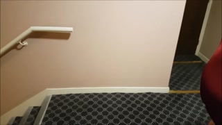 College Girl Loves Risky Hotel Hallway Fucking Christmas Special – indian king porn – PornMood